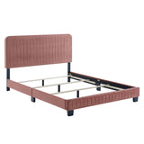 Celine Channel Tufted Performance Velvet Queen Bed