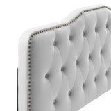 Sophia Tufted Performance Velvet King/California King Headboard