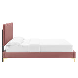 Current Performance Velvet Queen Platform Bed