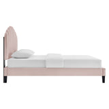 Daisy Performance Velvet Full Platform Bed