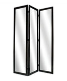 50 X 69 Black Glass &amp; Wood Mirror Screen