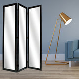 50 X 69 Black Glass &amp; Wood Mirror Screen