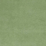 5'X7' Spearmint Green Indoor Shag Rug