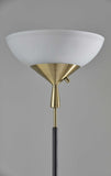 Two Light Brass Cinch Floor Lamp in Black Metal