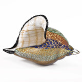 5 Mouth Blown Large Conch Shell Artistic Glass