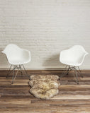 2' X 3' Gray Mist New Zealand Natural Sheepskin Rug