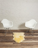 2' X 3' Latte New Zealand Natural Sheepskin Rug