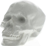 White Ceramic Skull Sculpture