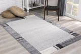 4’ X 6’ Gray Modern Bordered Area Rug