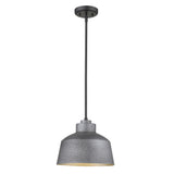 Barnes 1-Light Gray Convertible Pendant