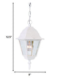 Distressed White Beveled Glass Outdoor Hanging Light