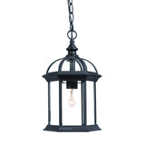 Matte Black Cage Hanging Light