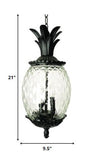 Lanai 3-Light Black Coral Hanging Light