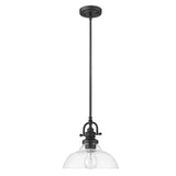 Matte Black Hanging Light with Glass Dome Shade