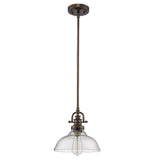 Antique Bronze Hanging Light with Glass Dome Shade