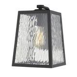 Hirche 1-Light Matte Black Wall Light