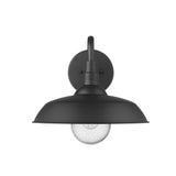 Burry 1-Light Matte Black Wall Light