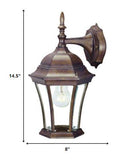 Dark Brown Hanging Carousel Lantern Wall Light