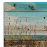 Ocean Sand Dunes Unframed Photograph Wall Art