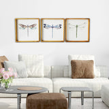 Set of Three Dragonfly Wood Framed Canvas Wall Art