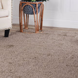 4' X 6' Taupe Shag Stain Resistant Area Rug