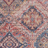 8' x 10' Blue and Red Floral Power Loom Distressed Washable Area Rug