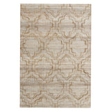 5' x 8' Brown Trellis Hand Woven Area Rug