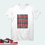 [BLESSED MANY TIMES] AJ1 Low OG Chicago Matching Tee