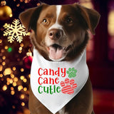 Candy Cane Cutie Bandana, Christmas Dog Bandana, Dog Owner Xmas Neck Scarf, Puppy Holiday Bandana, Pets Lover Christmas Gift Bandana.