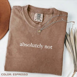 Comfort Colors Absolutely Not Shirt, Funny Humor Shirt, Adult Humor Shirt, Sarcastic Shirt, Funny Statement Shirt, Sarcasm Shirt for Women
