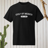 Gulf of Mexico Shirt, Gulf of Mexico Classic Tee Shirt, Political Protest Tee, Gulf Coast Shirt, Liberal Gift Tee
