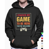 I Paused My Game To Be Here Funny Hoodie Casual Street Style Fleece Fabric Pullover Sweatshirt for Women for Men, Perfect Gift