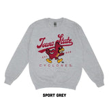 Vintage 90S IOWA State Cyclones Crewneck Sweatshirt, NCAA Final Four Championship Crewneck Sweatshirt, Unisex Shirt, Casual Top, Soft Cotton Fabric Shirt