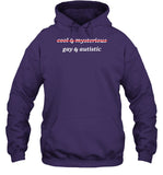 Cool And Mysterious Gay And Autistic Hooded Sweatshirt