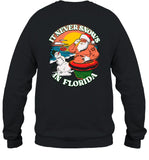 Limited New Found Glory It Never Snows In Florida 2024 Shirt