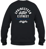 Design Bruce Springsteen And E Street Philadelphia Citizens Bank Park August 21 & 23 2024 T Shirt
