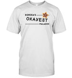 Jocat Eorzea's Okayest Paladin T Shirt